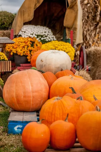 Small Canada Flag Iron-On Patches (set of 10)