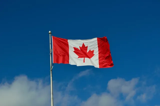 Canadian Flag Morale Patch - Iron-On Embroidery (Set of 2)